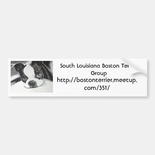 Gruppe Bostons Terrier Meetup Autoaufkleber (Vorne)