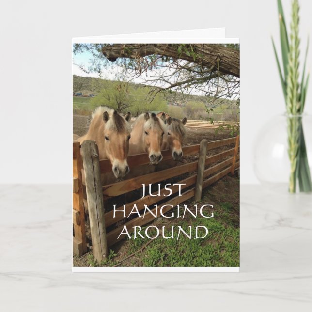 GRUPPE COOLER PFERDE SAGT "GLÜCKLICHER GEBURTSTAG" KARTE (Vorderseite)