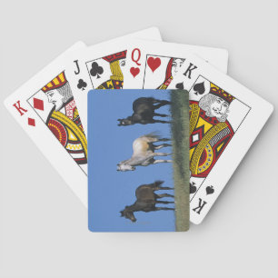 Gruppe der Araber Spielkarten