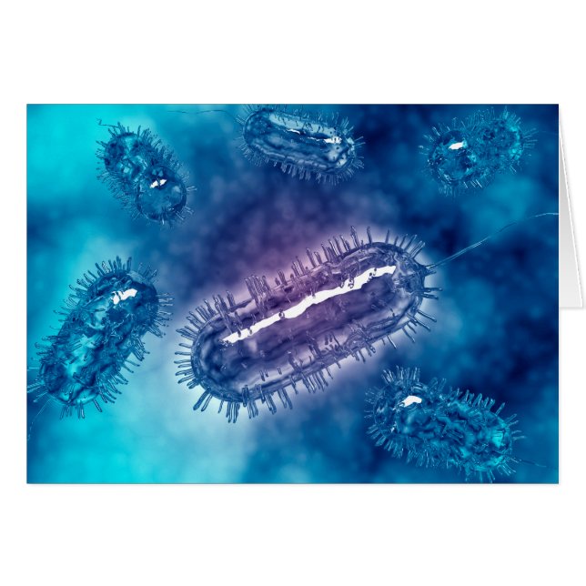 Gruppe der Escherichia coli Bacteria cells 1 (Vorderseite (Horizontal))