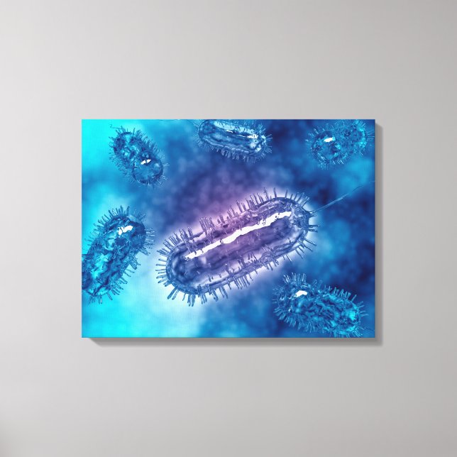 Gruppe der Escherichia coli Bacteria cells 1 Leinwanddruck (Vorderseite)