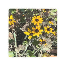 Gruppe der Gelben Blume