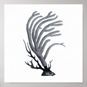 Gruppe der grauen Meereswelt 12A Print #11 Sea cor Poster