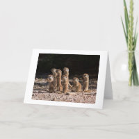 GRUPPE DER HUNDE PRARIE IST SPRICHWORT GLÜCKLICH G