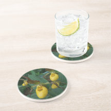 Gruppe der orchiden Blume der Gelben Dame