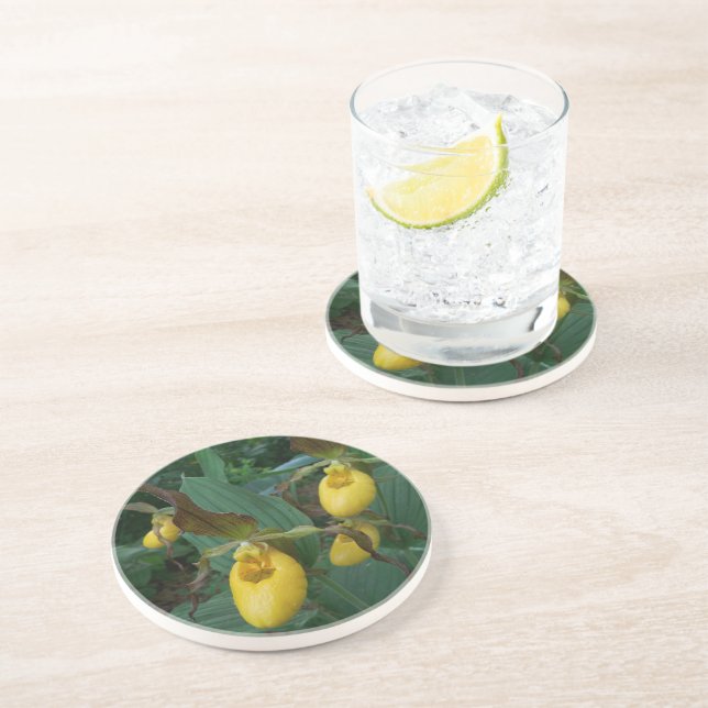 Gruppe der orchiden Blume der Gelben Dame Getränkeuntersetzer (Seite)