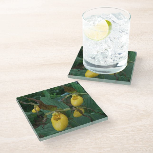 Gruppe der orchiden Blume der Gelben Dame Glasuntersetzer (Schrägansicht)