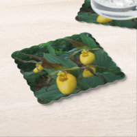 Gruppe der orchiden Blume der Gelben Dame