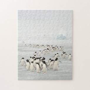Gruppe der Pinguine Puzzle