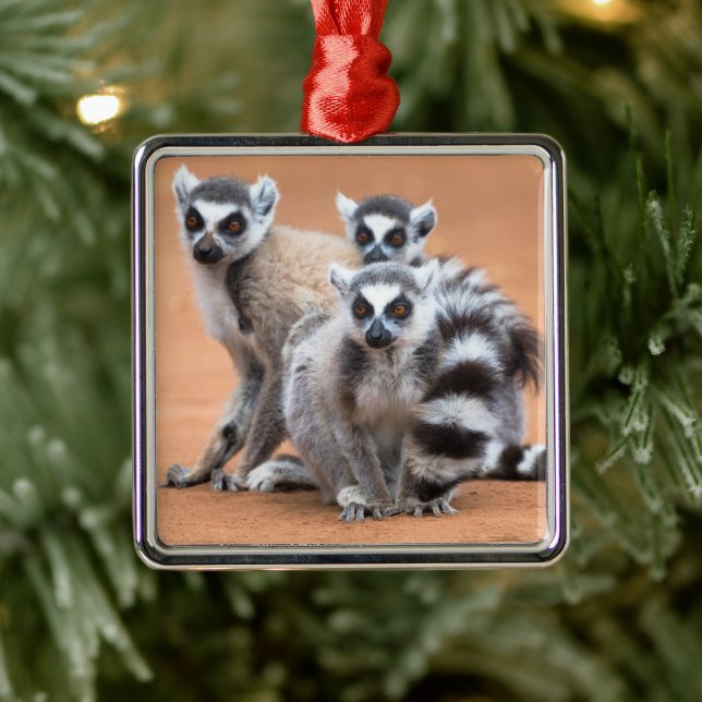 Gruppe der Ringschwanzlemoren Ornament Aus Metall (Baum)