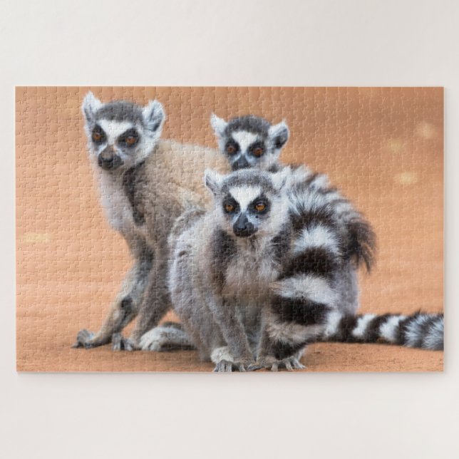 Gruppe der Ringschwanzlemoren Puzzle (Horizontal)
