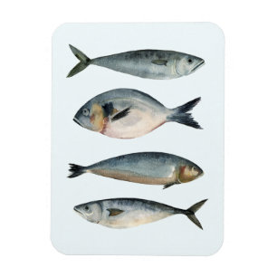 Gruppe der vier Fische Magnet