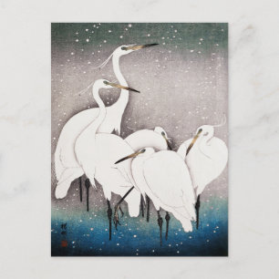 Gruppe Egrets Painting von Ohara Koson Postkarte
