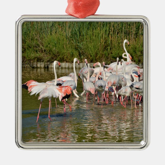 Gruppe Flamingos in Camargue Ornament Aus Metall (Vorne)