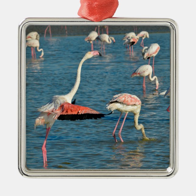Gruppe Flamingos in Camargue Ornament Aus Metall (Vorne)
