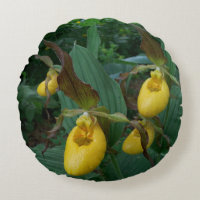 Gruppe gelbe Frauenschuh-Orchideen-Blumen