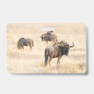 Gruppe Gnus Ausweis