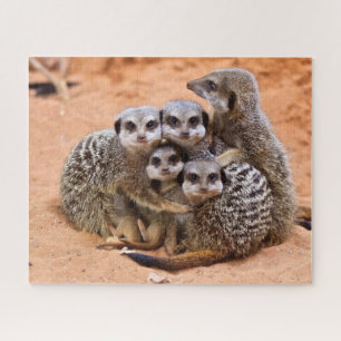 Gruppe Meerkats Puzzle