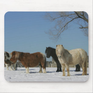 Gruppe Miniaturpferde im Schnee Mousepad