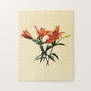 Gruppe Orange Lilies Puzzle