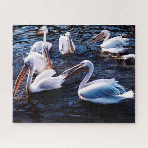 Gruppe Pelikane, Jigsaw Puzzle
