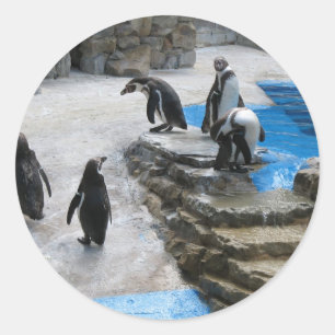 Gruppe Pinguine Runder Aufkleber