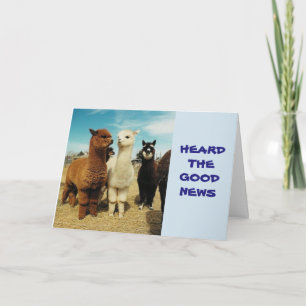 GRUPPE SAGT **RETIREMENT-SIE SIND FREI GENIESSEN** KARTE