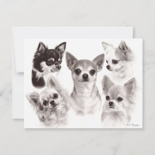 Gruppe von fünf Chihuahuas Handgemälzten Kunstwerk Postkarte