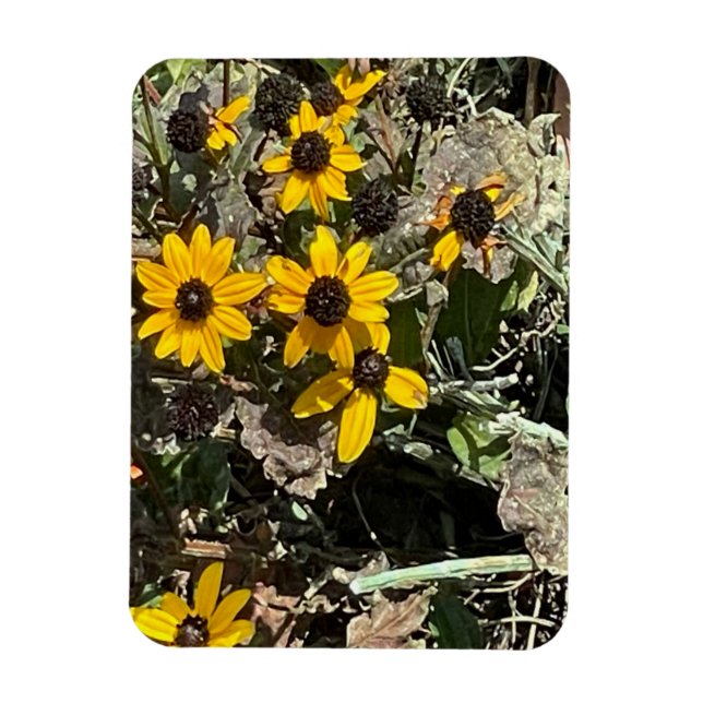 Gruppe von Gelbblumen Weiches Foto Magnet (Vertikal)