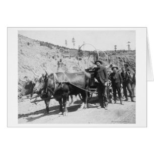 Gruppe von Goldprospektoren Fotografie