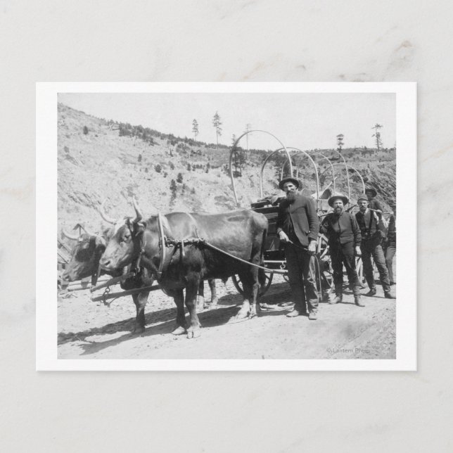 Gruppe von Goldprospektoren Fotografie Postkarte (Vorderseite)