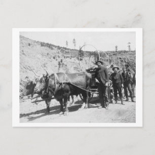 Gruppe von Goldprospektoren Fotografie Postkarte