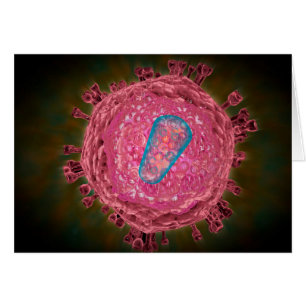 Gruppe von HIV-Virus 2