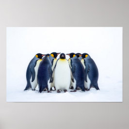 Gruppe von Pinguinen Poster