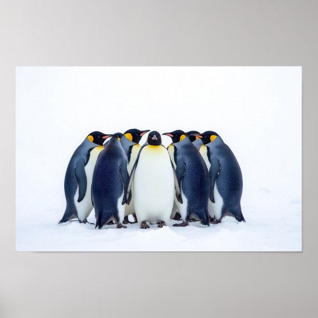Gruppe von Pinguinen Poster (Vorne)