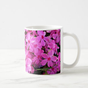 Gruppe von rosa Phlox Tasse