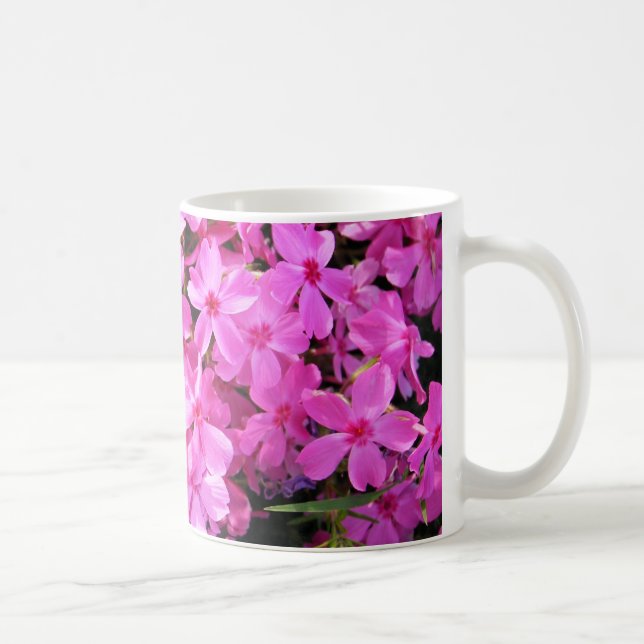 Gruppe von rosa Phlox Tasse (Rechts)