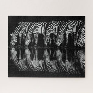 Gruppe von Steppenzebras trinkt nachts zusammen Puzzle