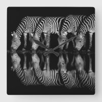Gruppe von Steppenzebras trinkt nachts zusammen