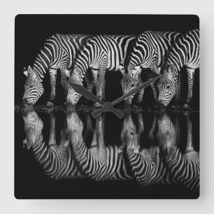 Gruppe von Steppenzebras trinkt nachts zusammen Quadratische Wanduhr