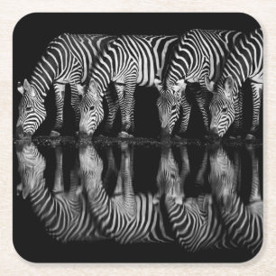 Gruppe von Steppenzebras trinkt nachts zusammen Rechteckiger Pappuntersetzer