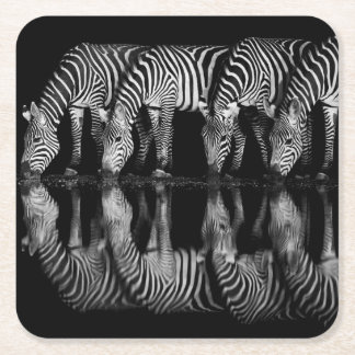 Gruppe von Steppenzebras trinkt nachts zusammen Rechteckiger Pappuntersetzer