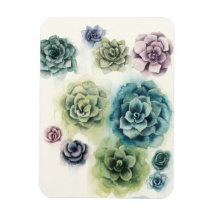 Gruppe von Succulents Magnet