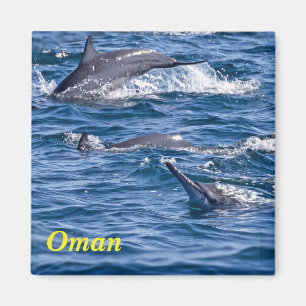 Gruppe von Tümmler - Oman Magnet