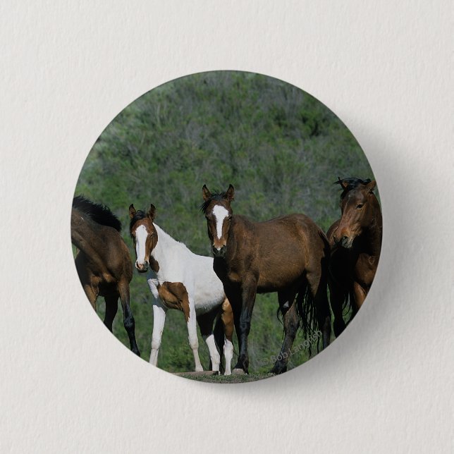 Gruppe wilde Mustang-Pferde Button (Vorderseite)