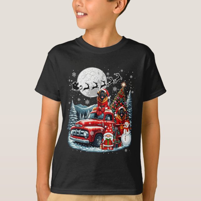 Gruppe Xmas Gnome Snowman Santa Leonbergers auf Ck T-Shirt (Vorderseite)