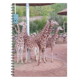 GruppenNotebook #2 Notizblock