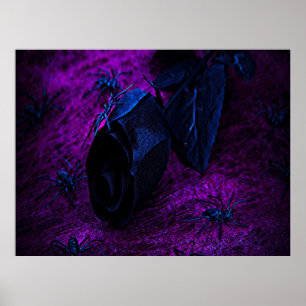 Grusel-Material-Rose in Schwarz, schwarze Spinnen Poster