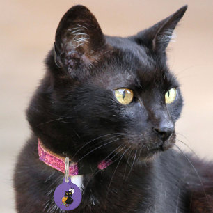 Gruselig lila süße schwarze Halloween-Kürbis-Katze Haustiermarke