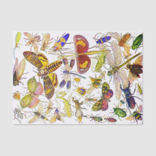 Gruselige Biologie des Crawlies Seidenpapier